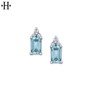 10kt Genuine Aquamarine & Diamond Earring Essentials