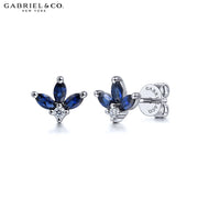 Sapphire & Diamond Earrings