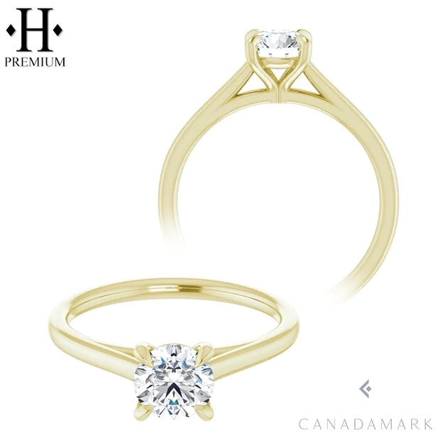 0.75ctw Canadian Internally Flawless Round Cut Natural Diamond Ring